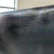 Italian designer leather bench, Enrico Pellizzoni