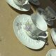 Tasses à café / thé