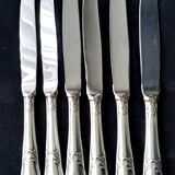 12 Guy Degrenne Rocaille pattern table knives (RESERVES)