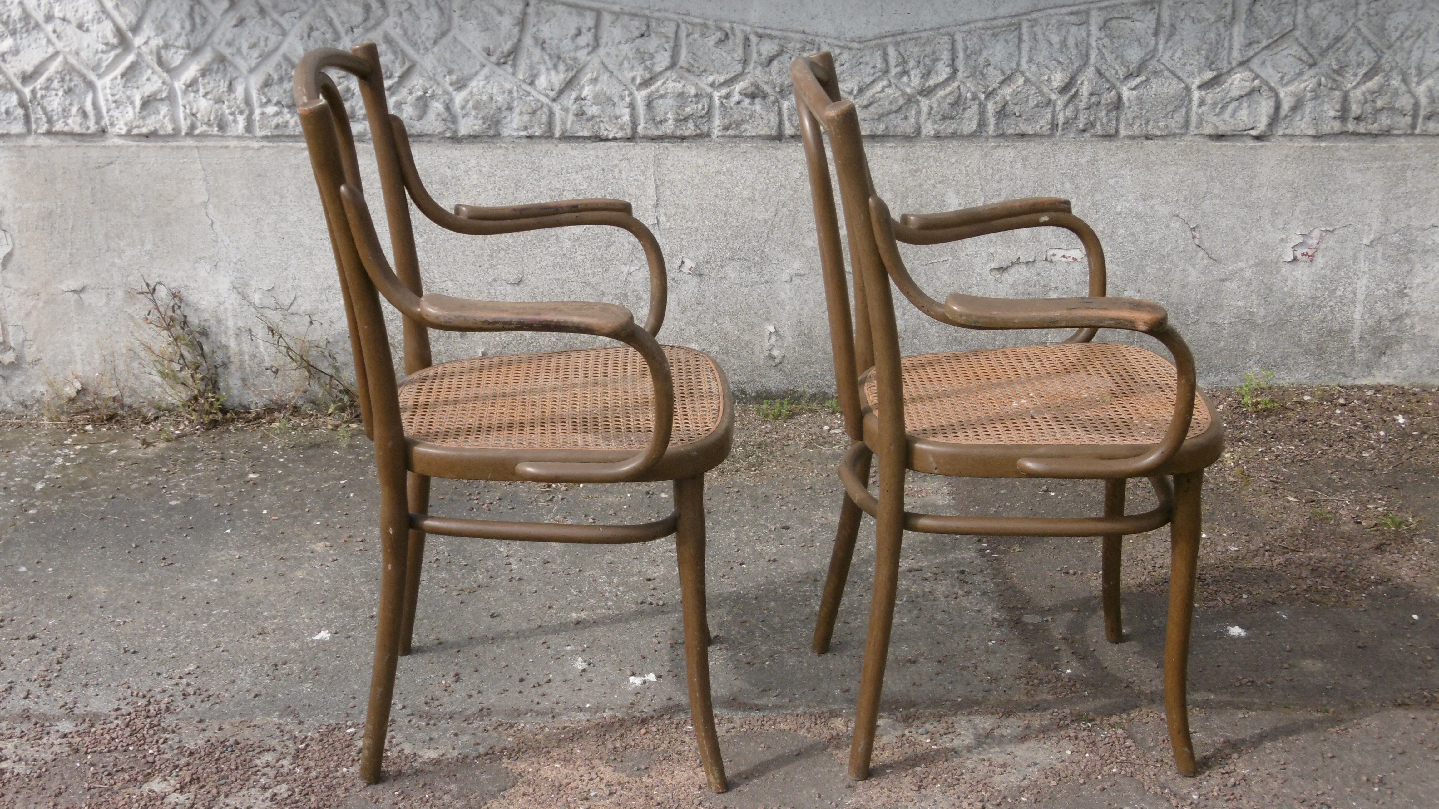 Viennese bistro armchair sitting cane