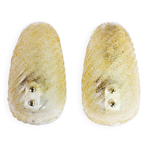 Paire d'applique en verre - 1970