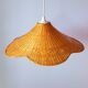 Suspension osier tréssé 1970
