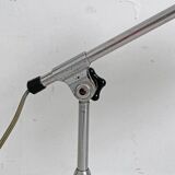 Lampe indus L. F. Solere