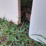 Pairs of large antique Haussmann-style wardrobe doors from the 19th century.
