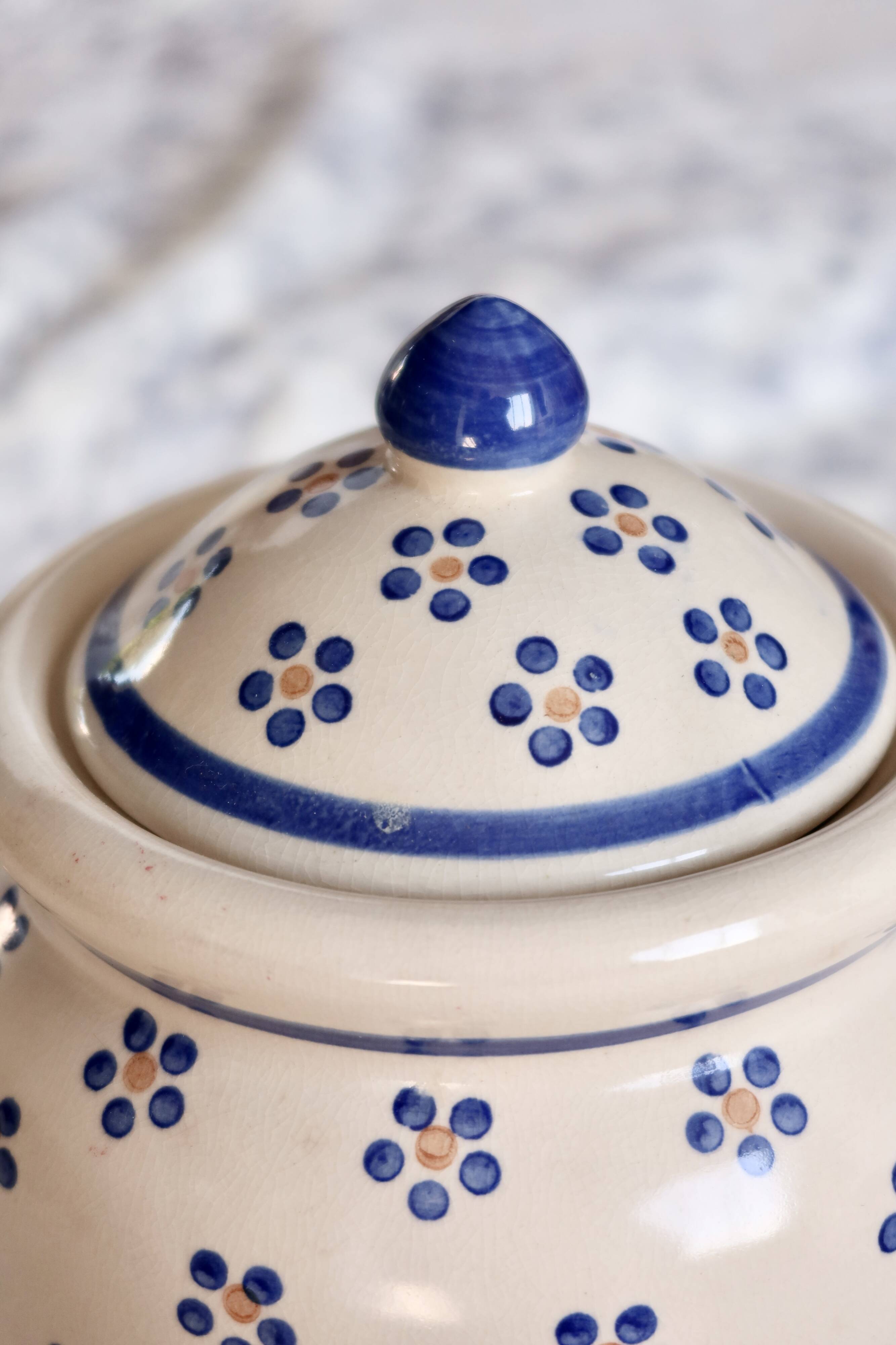 Vintage beige earthenware bonbonnière - Hand-painted blue floral decoration