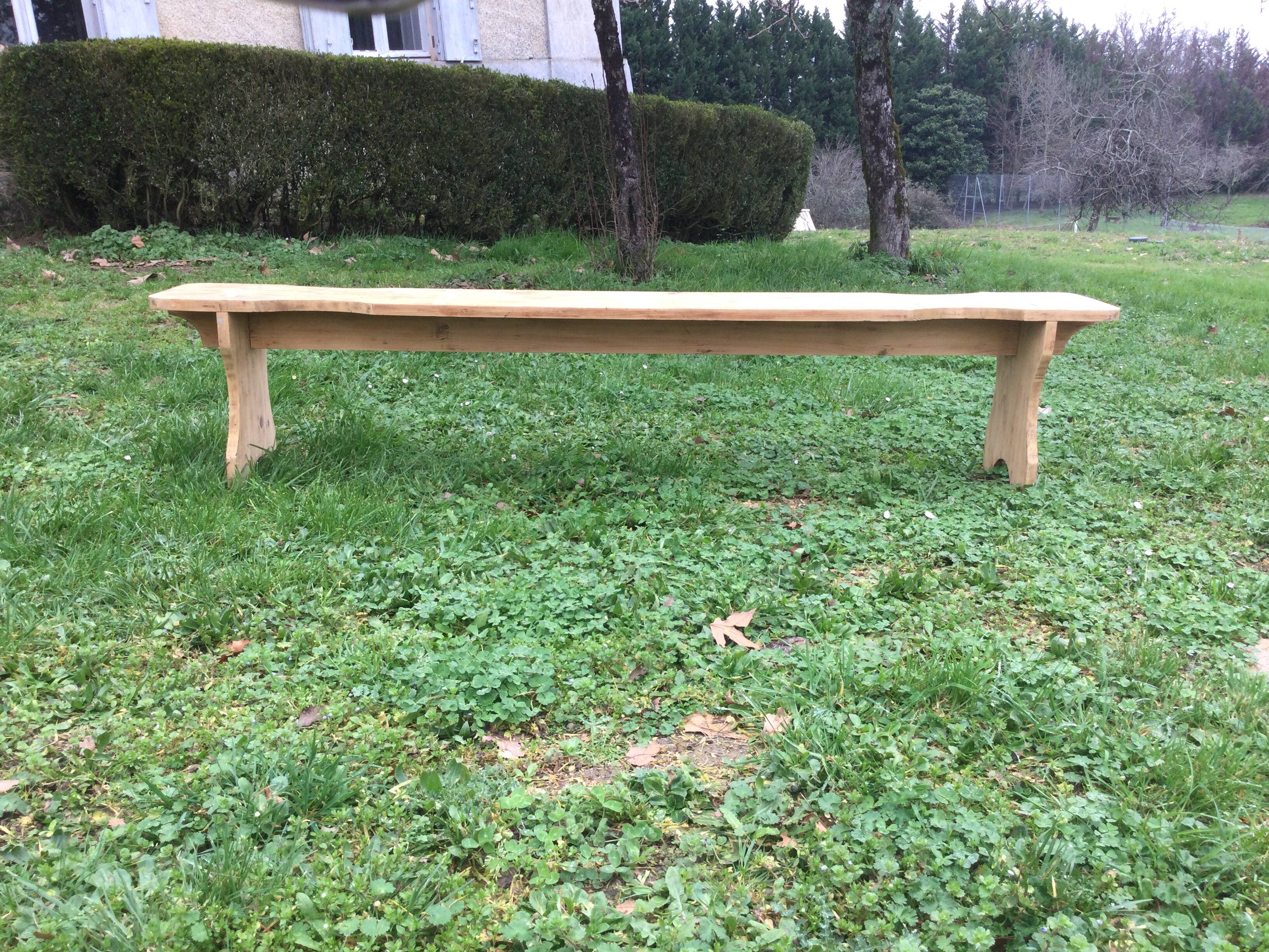 Large old fir bench