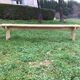 Large old fir bench