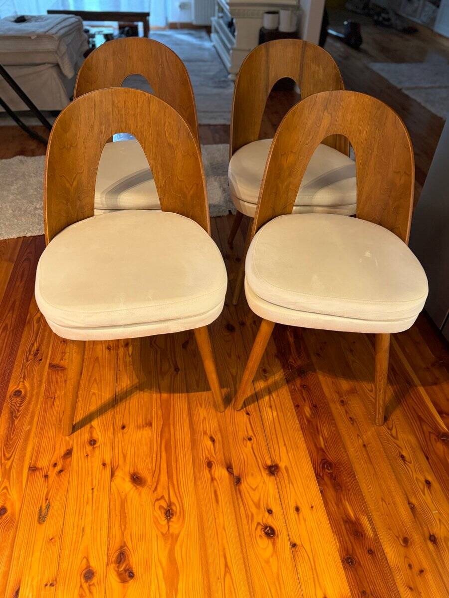 Mid-century dining chairs by Antonín Šuman for Tatra Furniture, 1960s, set of 4