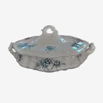 Ancient dish: Orchid model