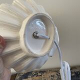 New electrified shell or shell lamp