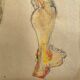 Mixed media on paper by robert haisley, study of female body, with color highlights