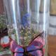 Set of 10 butterfly glasses from the Reims glassworks, vintage.