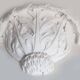Large foliage wall plaster