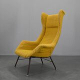 Fiberglass Armchair by Miroslav Navratil, Czechoslovakia, 1960s