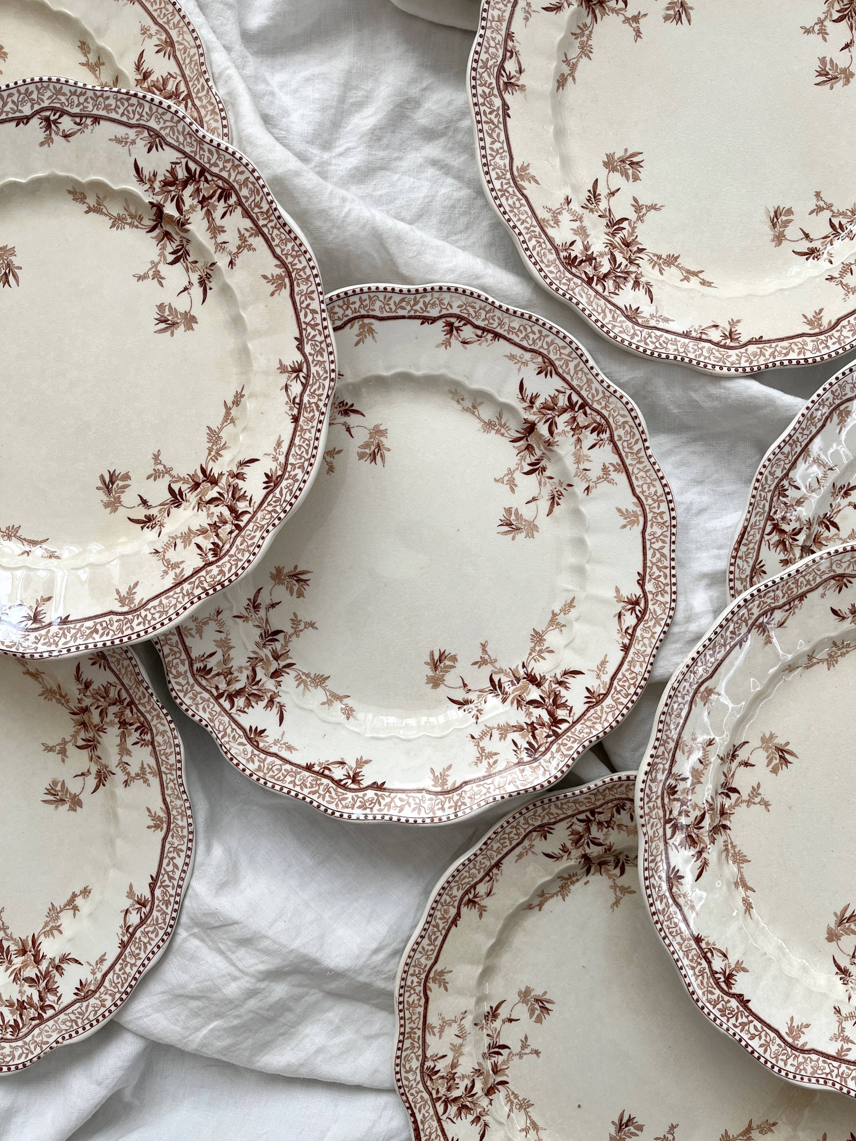 8 Ridgways England Royal Semi Porcelain "Eton" Ironstone Dinner Plates