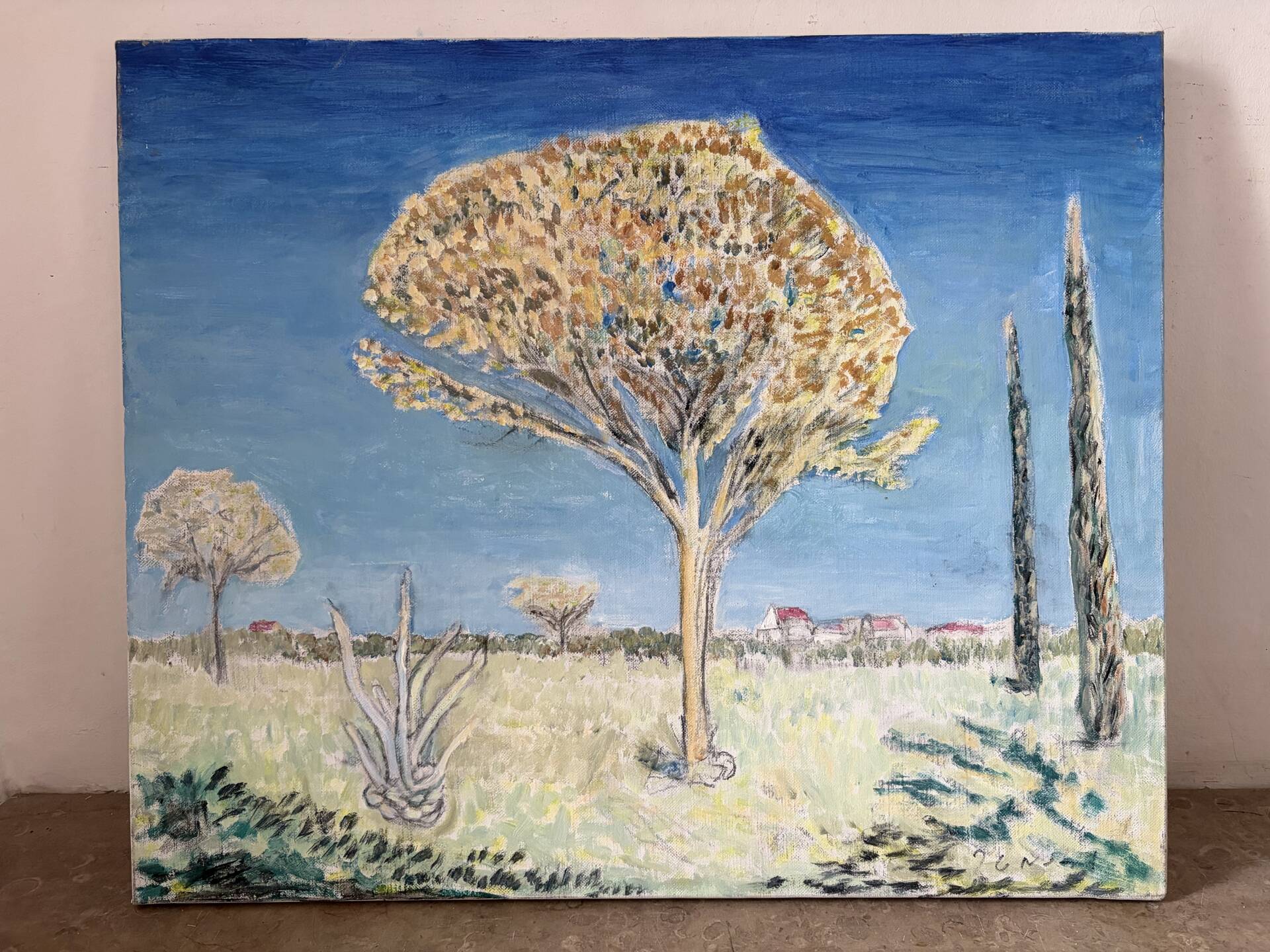 Modern Provence landscape
