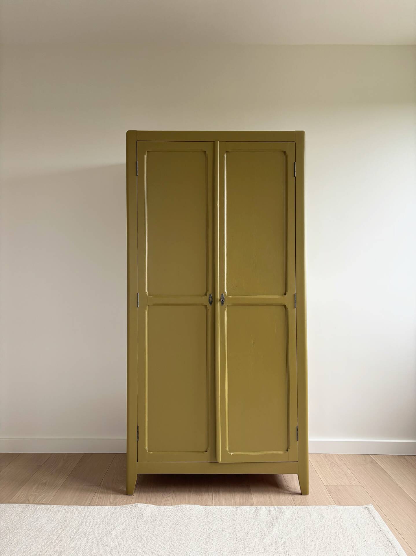 Renovated green Parisian wardrobe