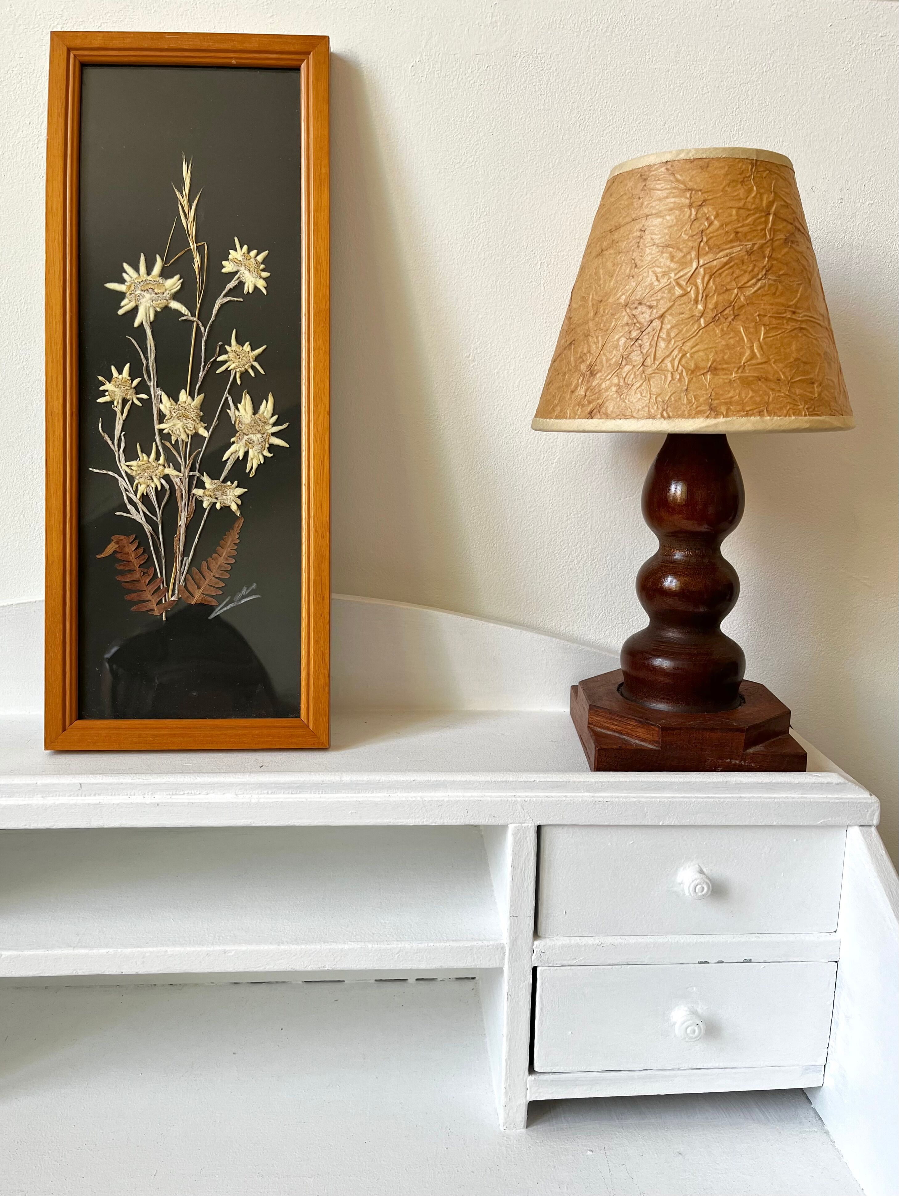 Vintage mountain edelweiss flower herbarium frame