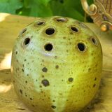 Stoneware flower pick
