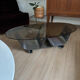 Table basse en verre fumé et chromé style François Monnet