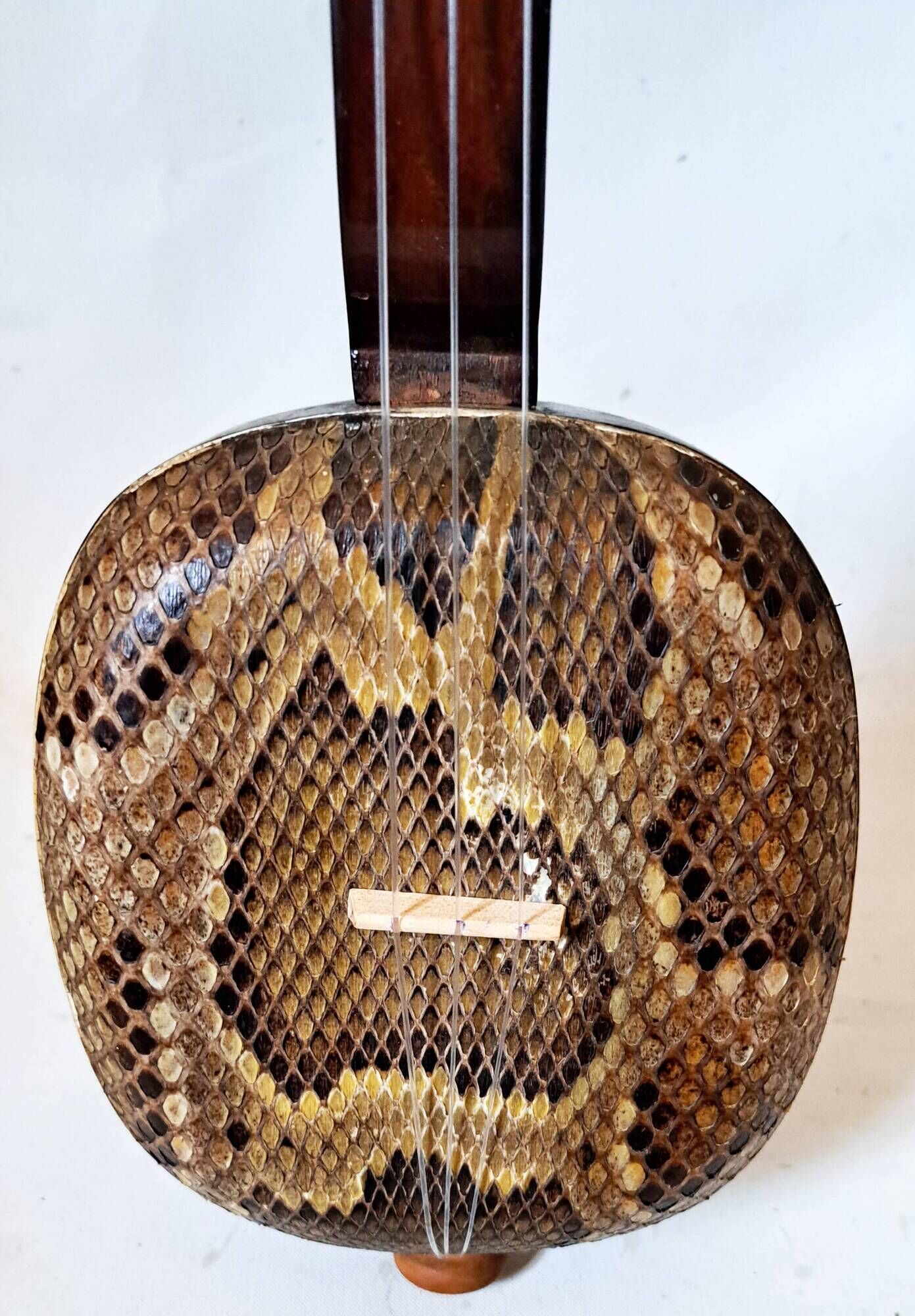 Okinawa shamisen sanshi traditional japanese instrument