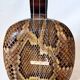 Okinawa shamisen sanshi traditional japanese instrument
