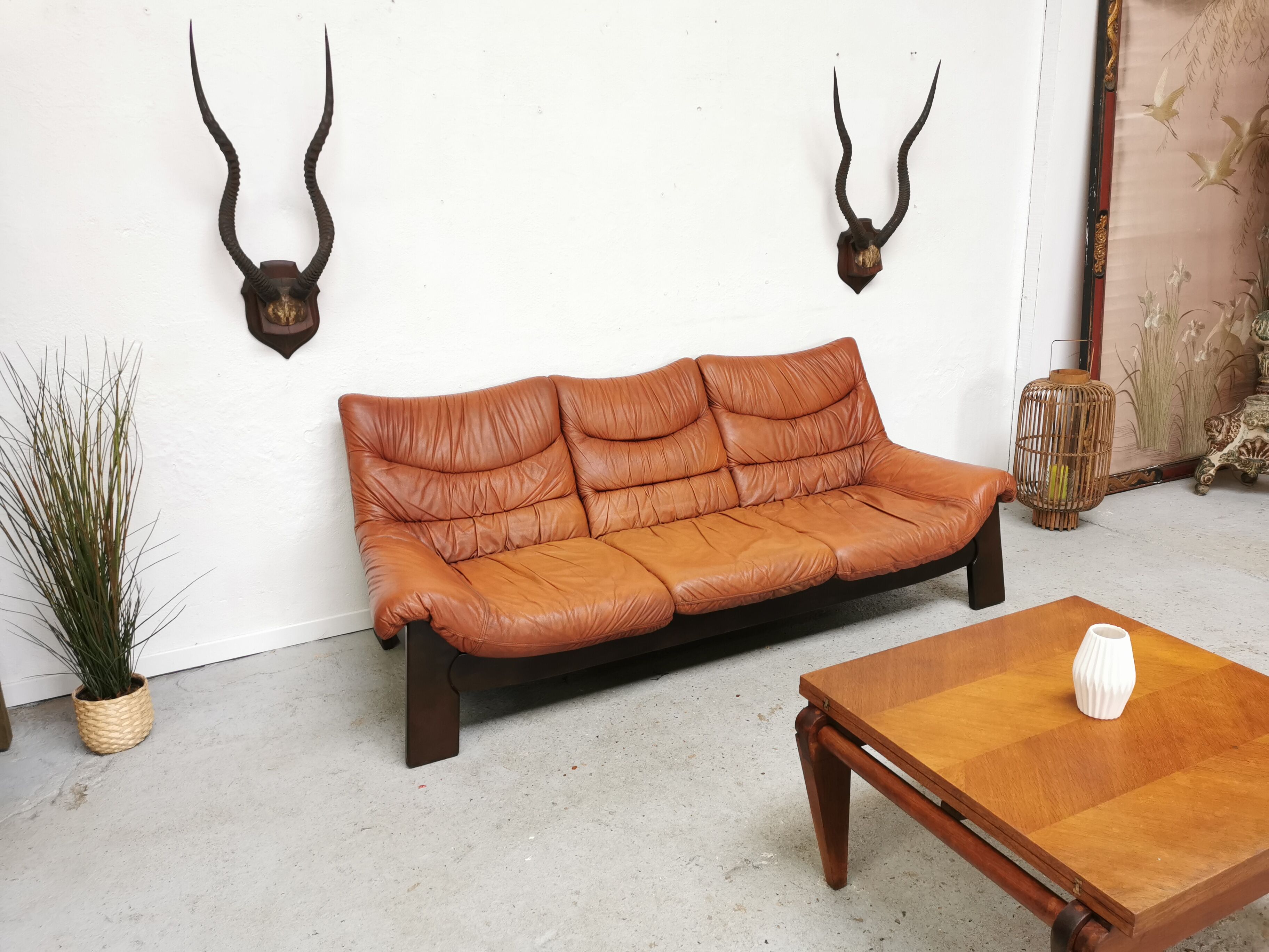 Pair of hunting trophy horn oryx antelope