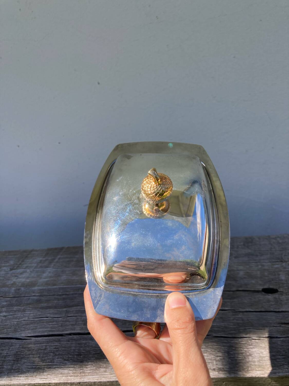 Acorn silver metal butter dish