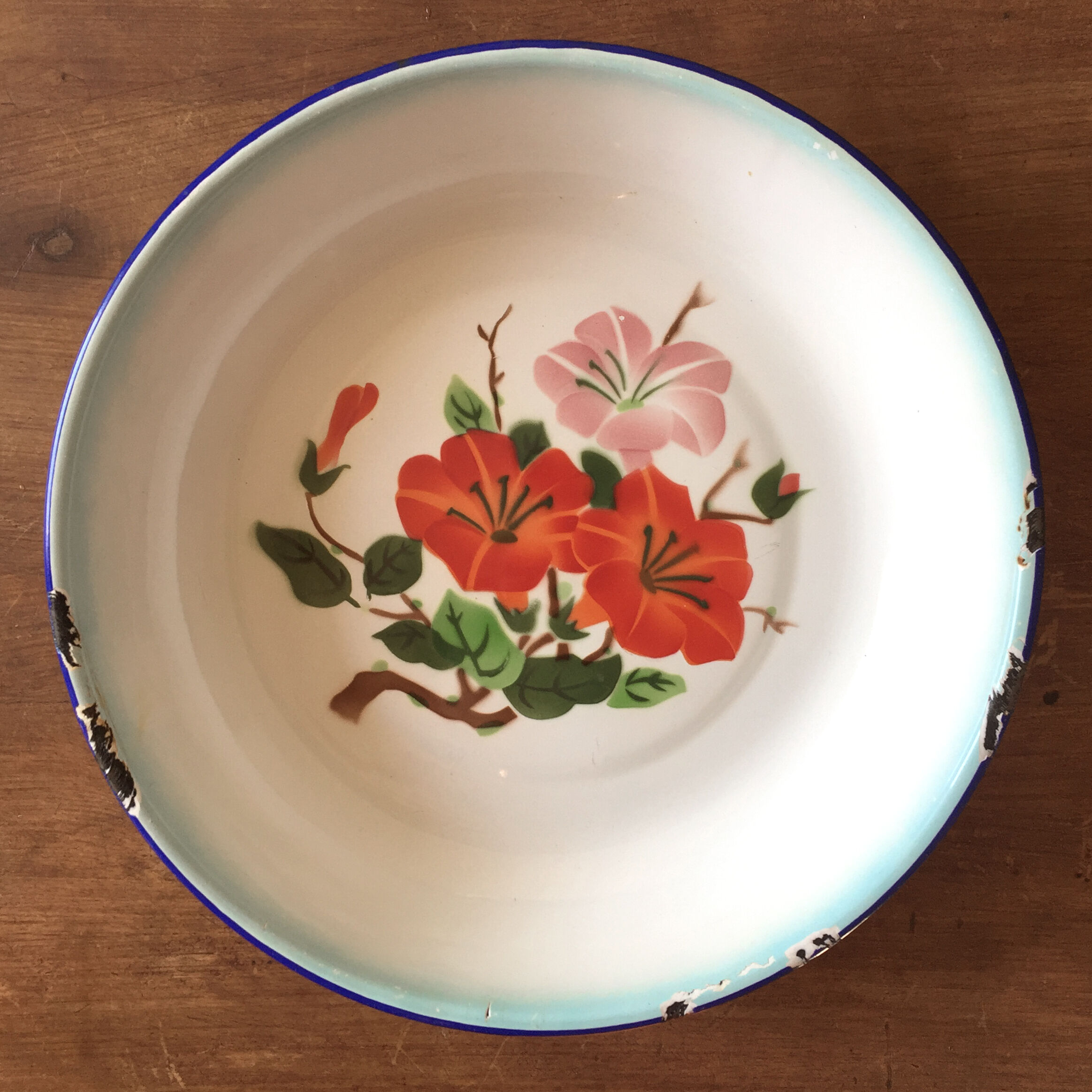 Set of 6 Peacock hollow plates