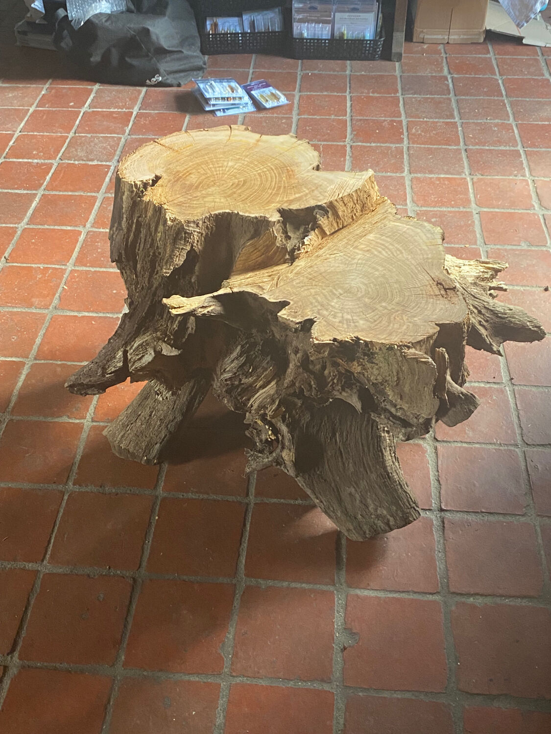 Table basse en pied de chêne
