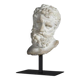 Hercules Head sculpture, small size, in resin and metal base.