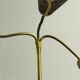 Lampadaire italien à trois lumières en laiton, années 1960