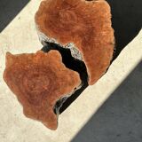 Pair of lychee stools forming a coffee table