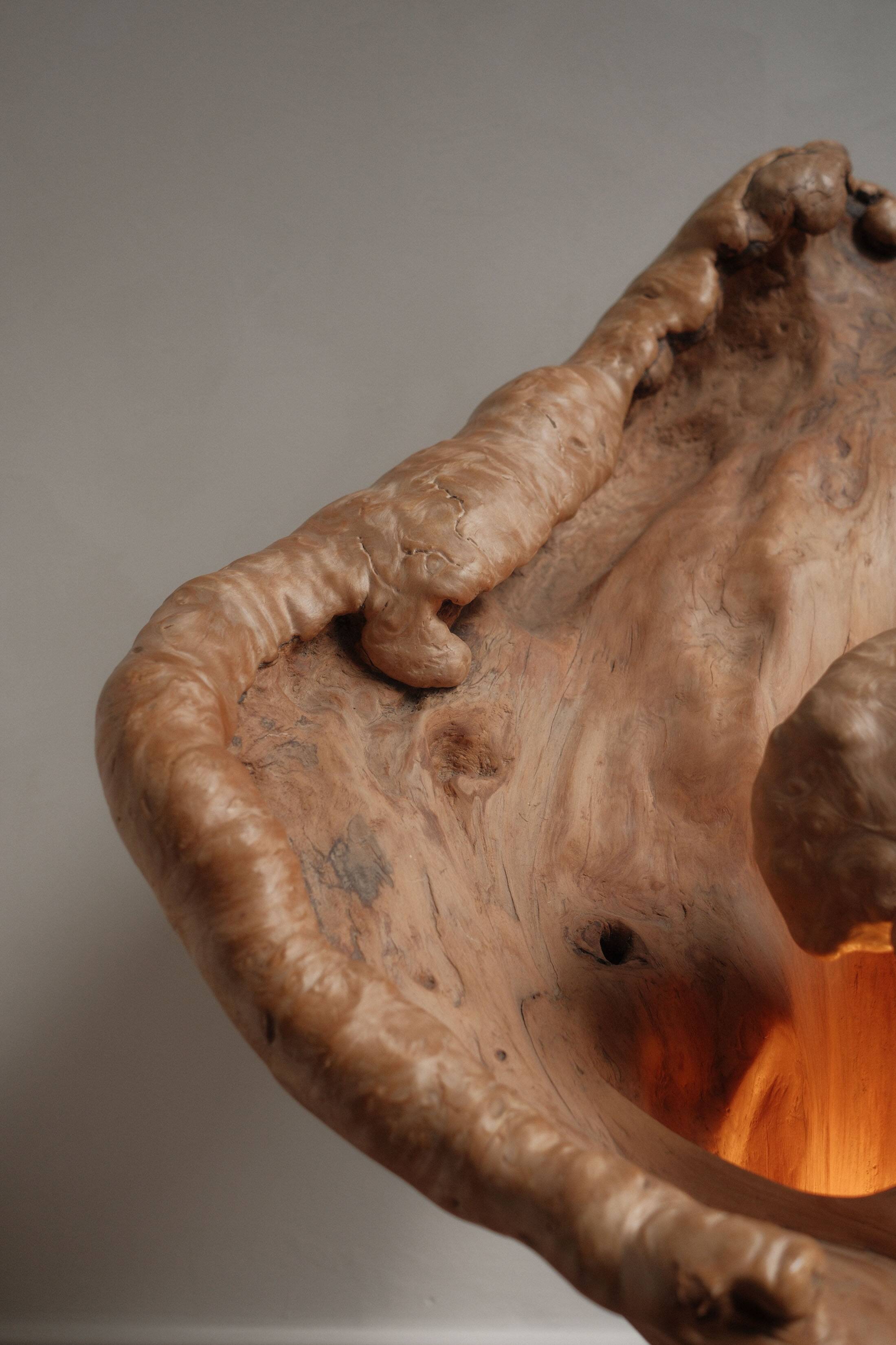 Sculptural lamp in burl wood