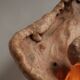 Sculptural lamp in burl wood