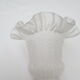 Old gooseneck wall lamp and frosted white glass tulip