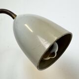 Grey Industrial Gooseneck Table Lamp from Philips, 1960s