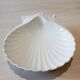 Ceramic shell dish