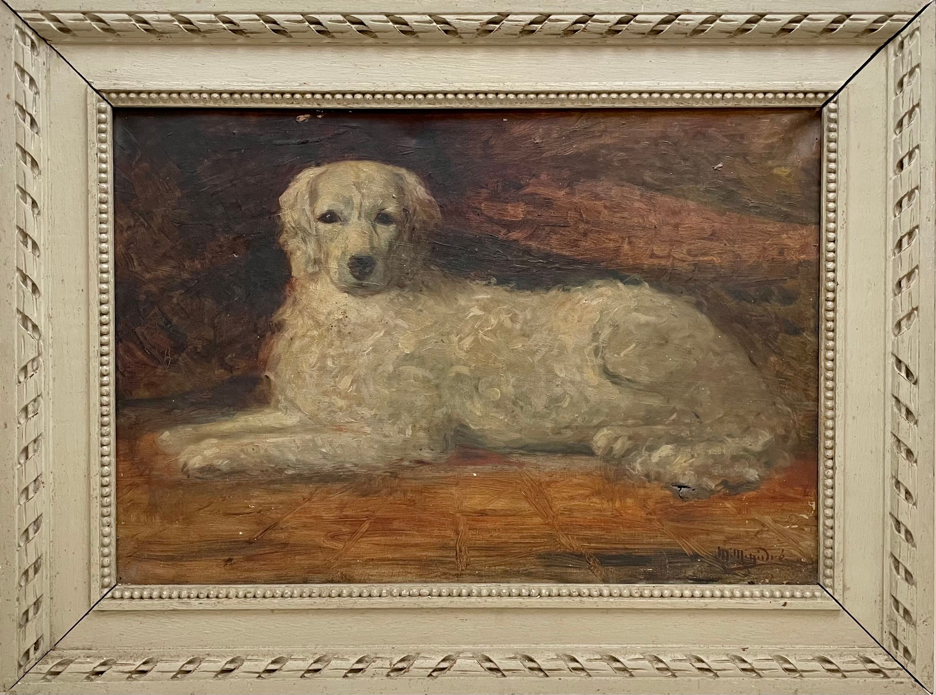 Portrait of a dog