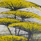 Héliogravure de Bernard Buffet edition Braun & Cie 1965