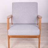 Fauteuil modèle 300-139 de l'usine Swarzędzka, 1960s