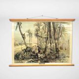 Vintage Poster of Date Palms, Tropics, 1950s