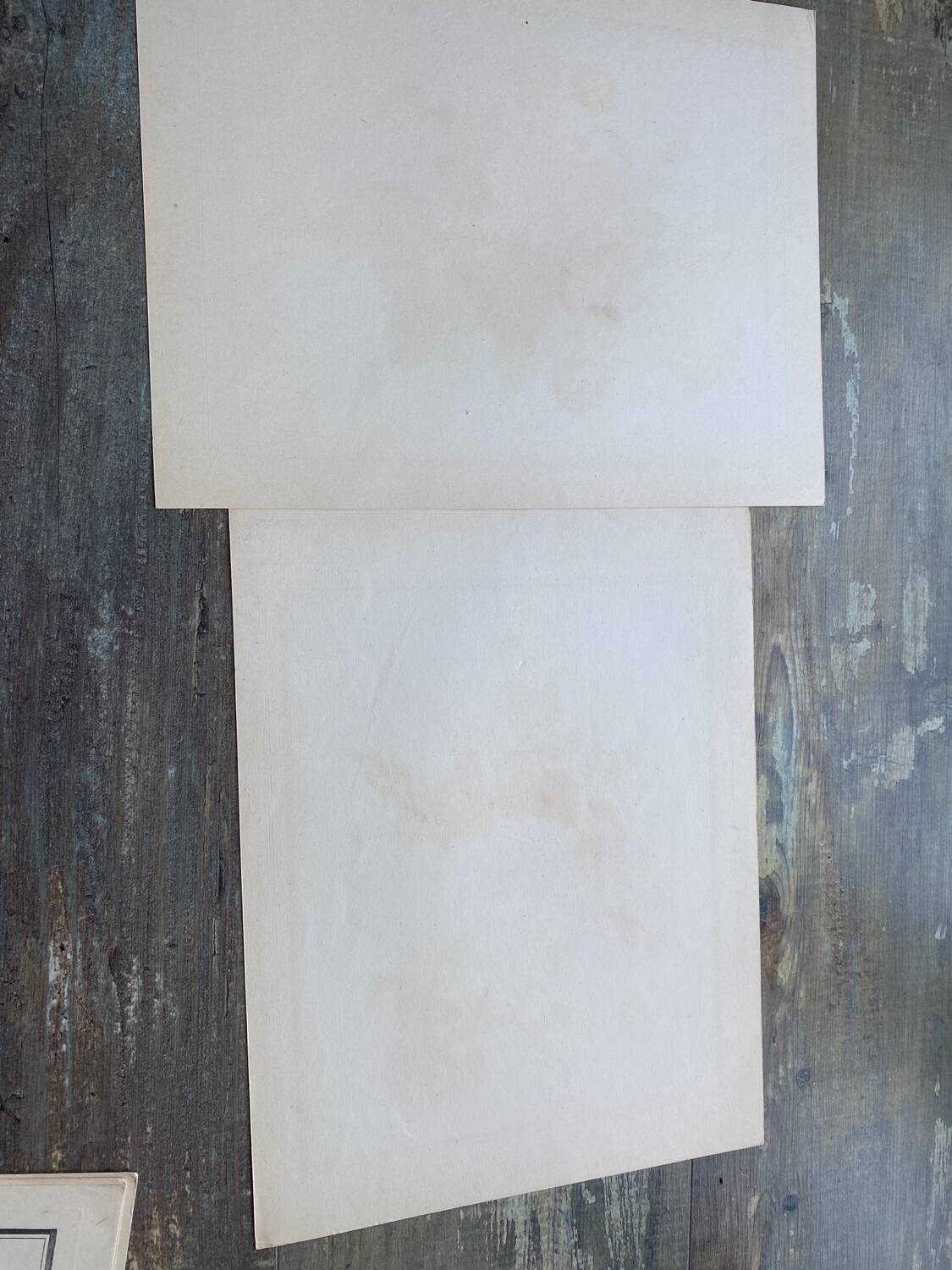 Two floral lithographs 2124