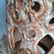 Large foot of openwork ceramic lamp ep 1960