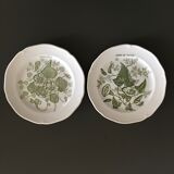 Set of 2 Glen plates with botanical decor