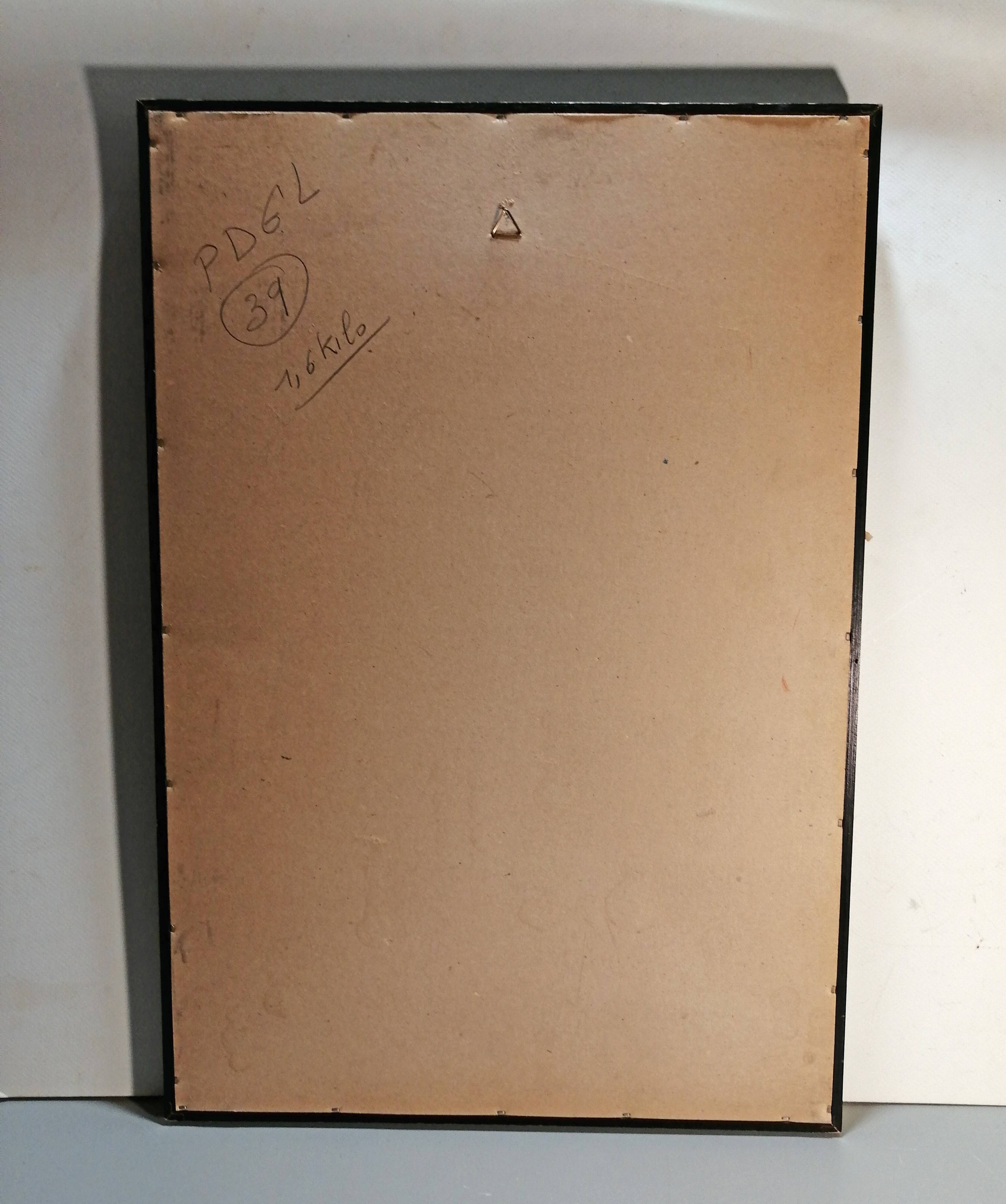 Framed botanical engraving lithography by JW Boussac - the blueberry