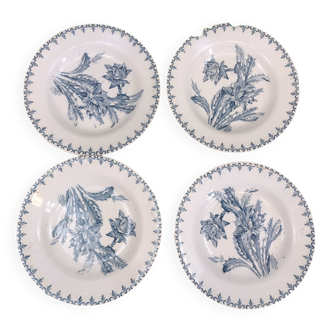 4 Cactus soup plates Creil et Montereau