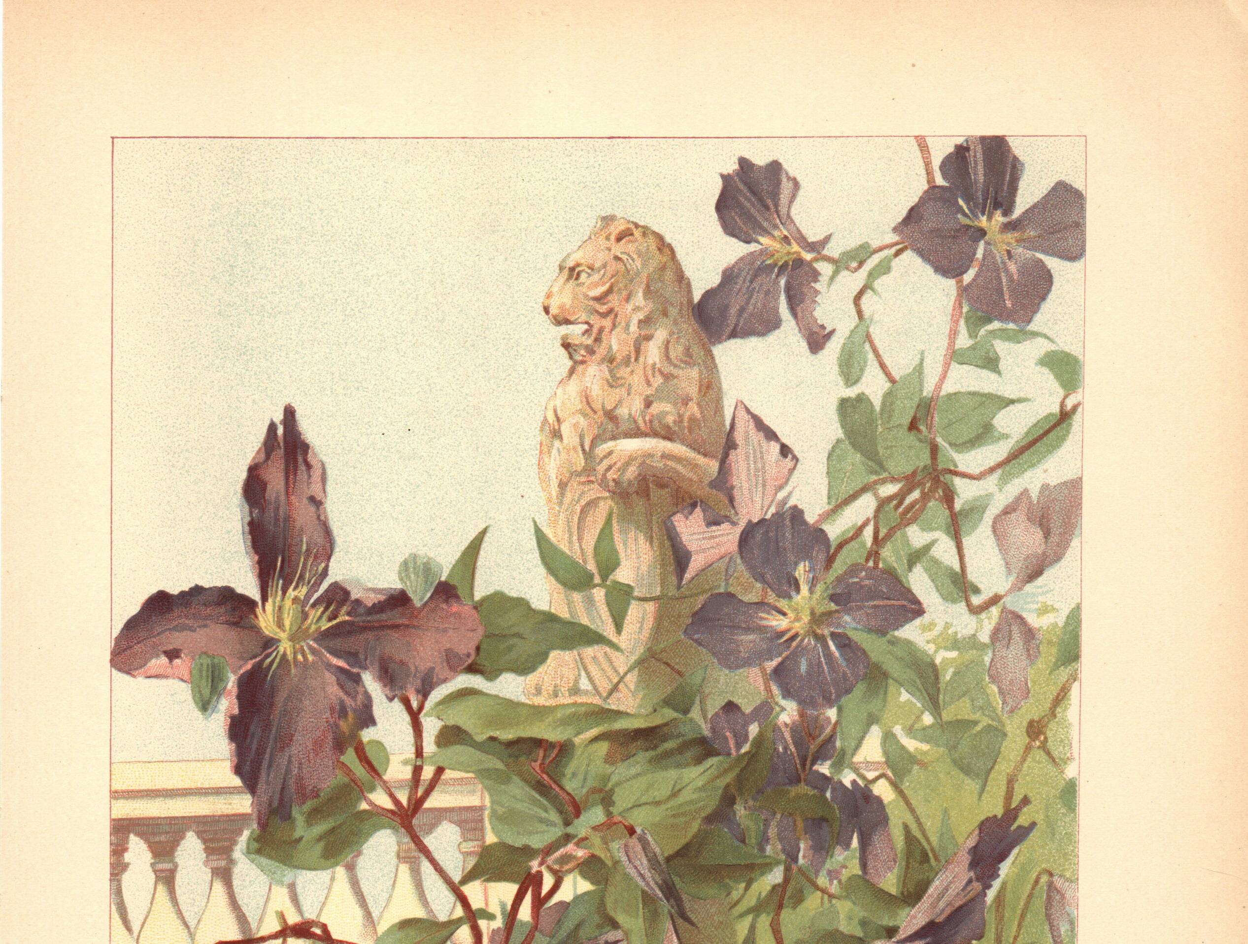 Art Nouveau engraving 1896 - Clematis and lion statue - Illustration