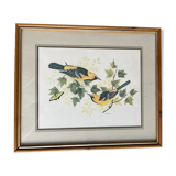 Table: Antique engraving by F Massa