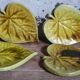 Four ceramic leaf cups from Les potiers d’Accolay
